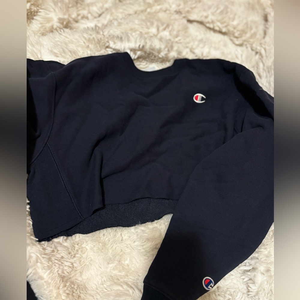 Cropped Champion Crewneck Sweater